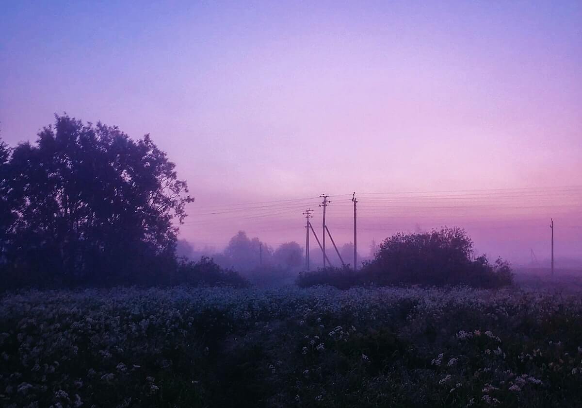 世界杯下载更新-日本球迷赛后自觉清理垃圾,温布利球场官号晒视频致谢